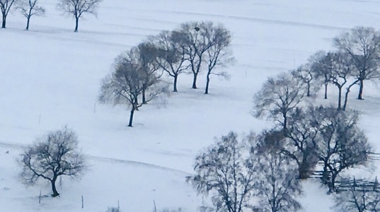 赤峰市-坝上草原-风景-风光-雪地 图片素材