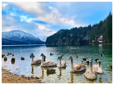 德国-海德堡小镇-新天鹅堡-旅游-随迫 图片素材