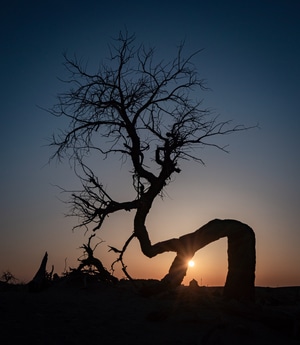 我和我的祖国-祖国-风光-金秋-夕阳 图片素材