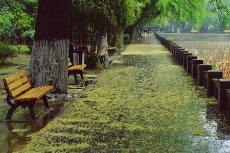 植物-动物-风光-旅行-人文 图片素材