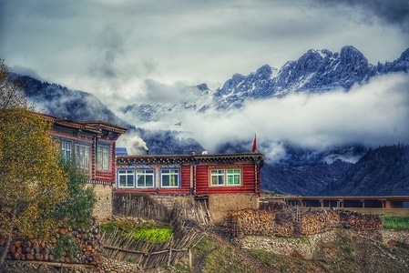 西藏-昌都-鸽子-风景-风光 图片素材