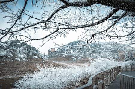 风景-2020-旅行-风景-风光 图片素材