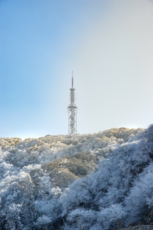 金佛山-雪山-雪-冰清玉洁-2020 图片素材