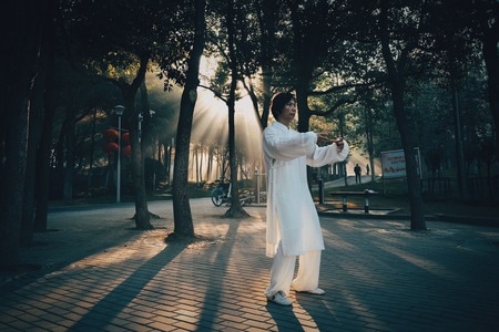 街拍-纪实-男性-男人-打太极 图片素材