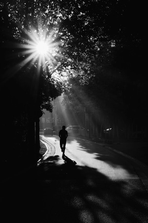 街拍-纪实-道路-星芒-树 图片素材
