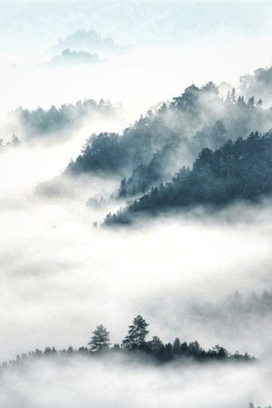 风光-旅拍-晨雾-山谷-雨后天晴 图片素材