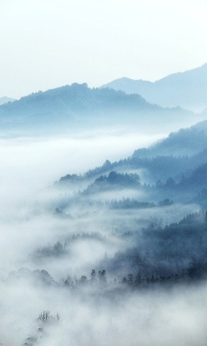 山谷-晨雾-风光-张家界天门山-大坪山谷 图片素材