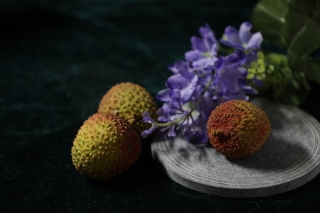 静物-布光-对比-水果-荔枝 图片素材