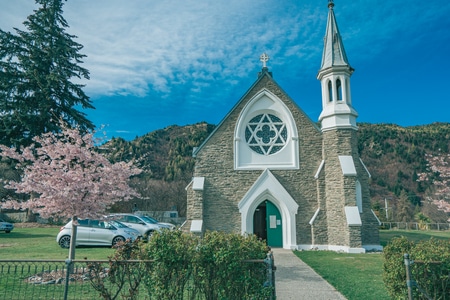 新西兰旅行-樱花季-教堂-房屋-房子 图片素材