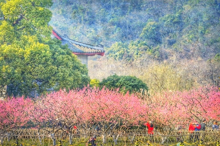 西湖-杭州-春天-色彩-旅行 图片素材