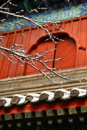 初雪-红墙-屋檐-北京-屋檐 图片素材