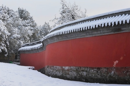 你好2020-雪-红墙-雪枝-雪景 图片素材