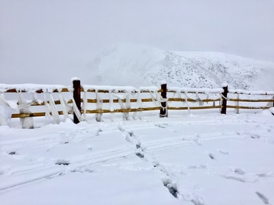 旅行-藏区-318-雪-雪地 图片素材