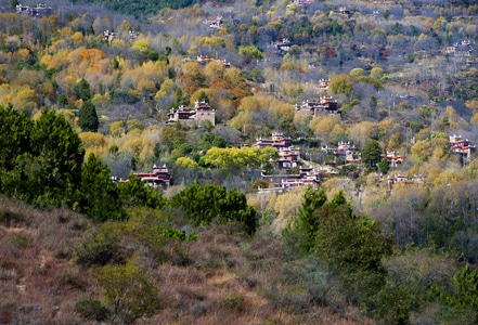 秋色-风光-旅行-藏寨-藏寨 图片素材