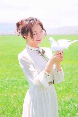 小清新-绿色-旅行-风光-青海 图片素材