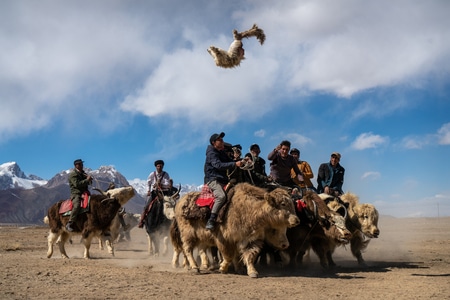 新疆旅游-南疆-纪实-旅行-骑手 图片素材