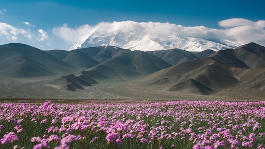 帕米尔高原-新疆旅游-南疆旅游-风景-风光 图片素材