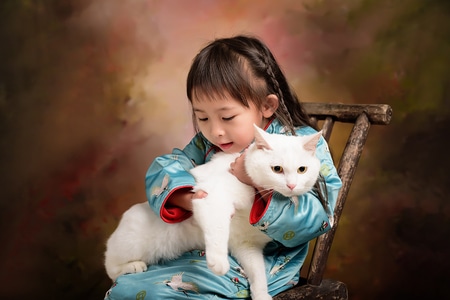 宠物-猫-猫-猫咪-宠物 图片素材