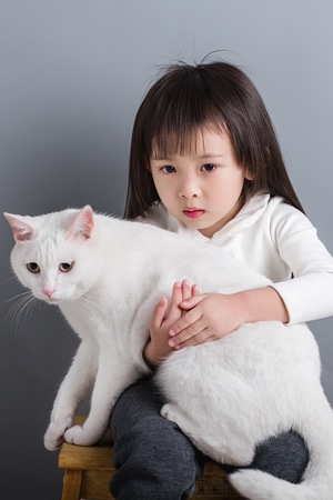 女孩👧-猫-女性-小女孩-猫 图片素材