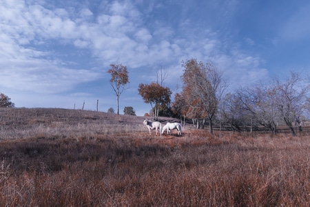 尘世烟火-自然-风景-光线-光影 图片素材