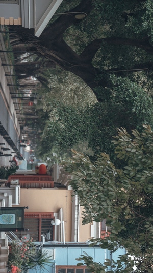 广州-纪实-扫街-旧城区-城市 图片素材