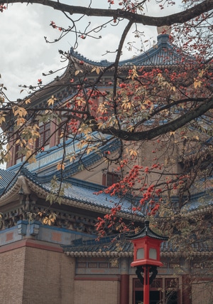 广州-纪实-扫街-广州纪念堂-花 图片素材