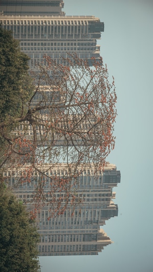 广州-扫街-旧城区-纪实-城市 图片素材
