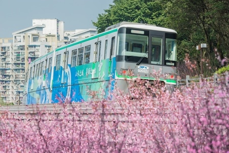 重庆轨道交通-重庆-火车-室外-有轨电车 图片素材