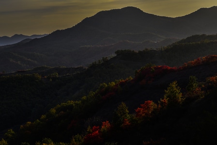 秋色-层林尽染-山-风光-风景 图片素材