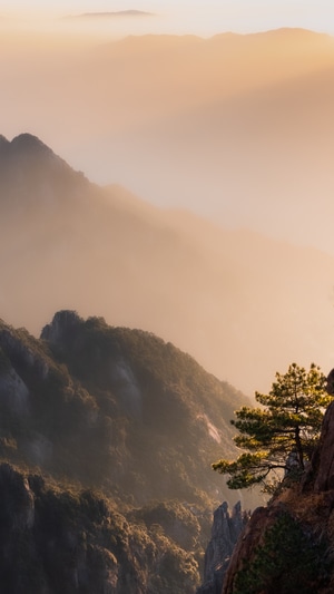 黄山-雾气-日出-晨曦-黄山松 图片素材