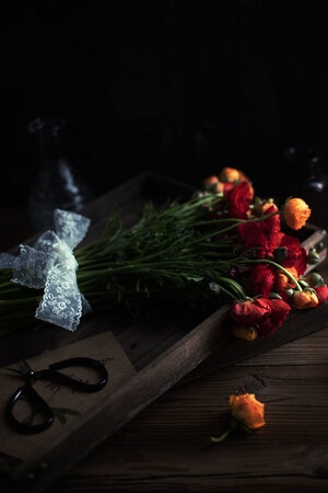 我要上封面-花-静物-花朵-花 图片素材