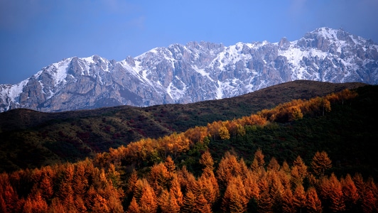 旅行-自驾-赞巴拉-节奏-线条 图片素材