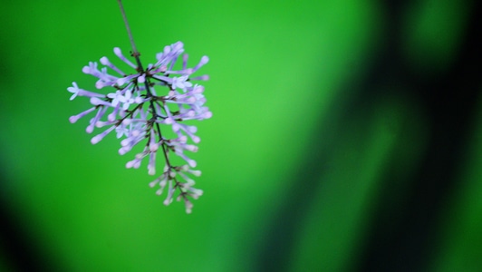 像素蜜蜂官方帐号-摄影-画面-photo-影像 图片素材