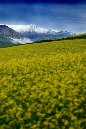 赞巴拉-旅行-摄影-自然-风景 图片素材