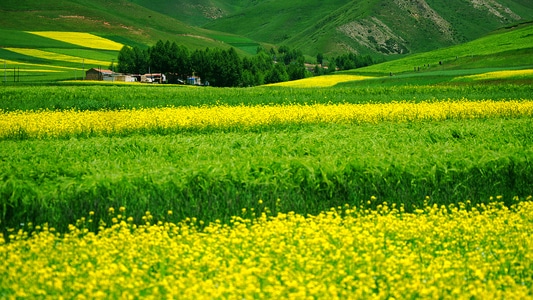 像素蜜蜂官方帐号-赞巴拉-颜色-故事-photo 图片素材