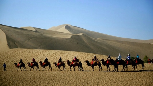 赞巴拉-摄影-旅行-自驾-驼队 图片素材