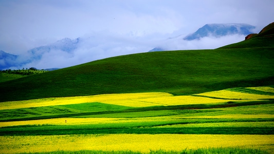 赞巴拉-旅行-摄影-田园-绿地 图片素材