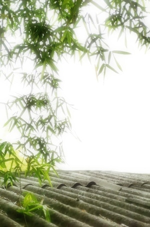 屋顶-绿-竹-竹-竹叶 图片素材