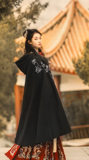 人像-古风-汉服-美女-你好2020 图片素材