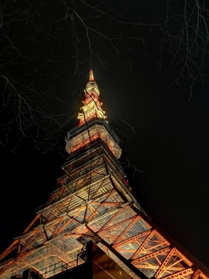 夜色-手机摄影-光影-建筑-色彩 图片素材