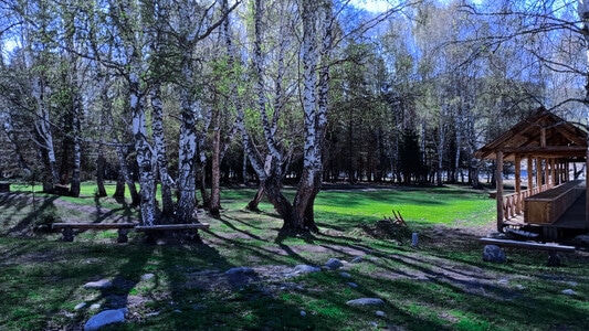 山林-静谧-风景-公园-树林 图片素材