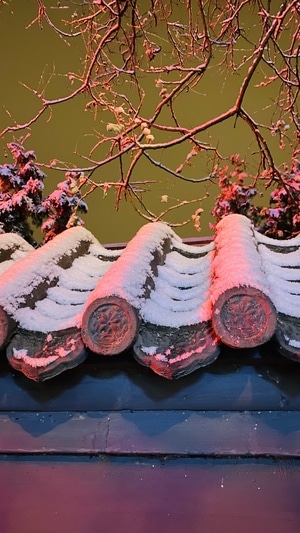 初雪-自然-iphone-摄影-风光 图片素材