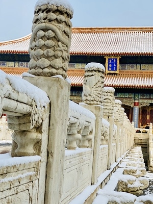 初雪-枯树-红墙绿瓦-北京-故宫 图片素材