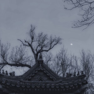 黑白-灰-手机摄影-喜欢-自由 图片素材