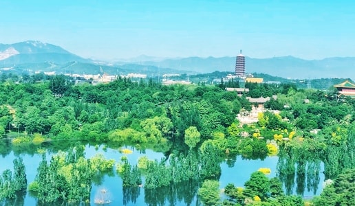 喜欢-无人-自由-植物-手机摄影 图片素材