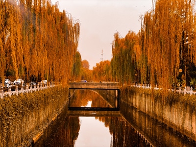 自然-iphone-摄影-❤-风光 图片素材