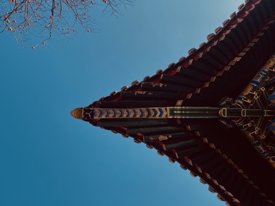柿子-❤-喜欢-自由-自然 图片素材