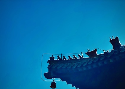 柿子-❤-喜欢-自由-自然 图片素材