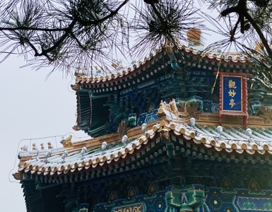 初雪-自然-iphone-摄影-风光 图片素材