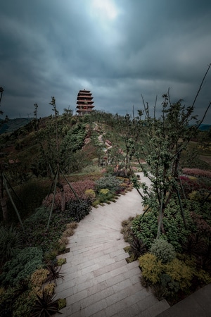 风景-成都-佳能-光-光影 图片素材
